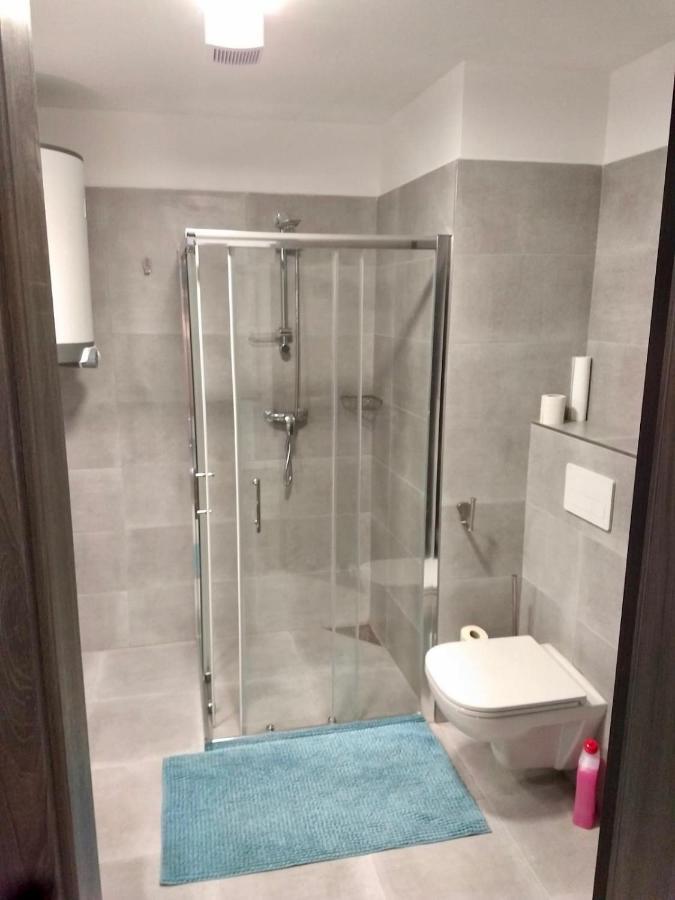 Apartmán Kapy Lipno Lipno nad Vltavou Kültér fotó