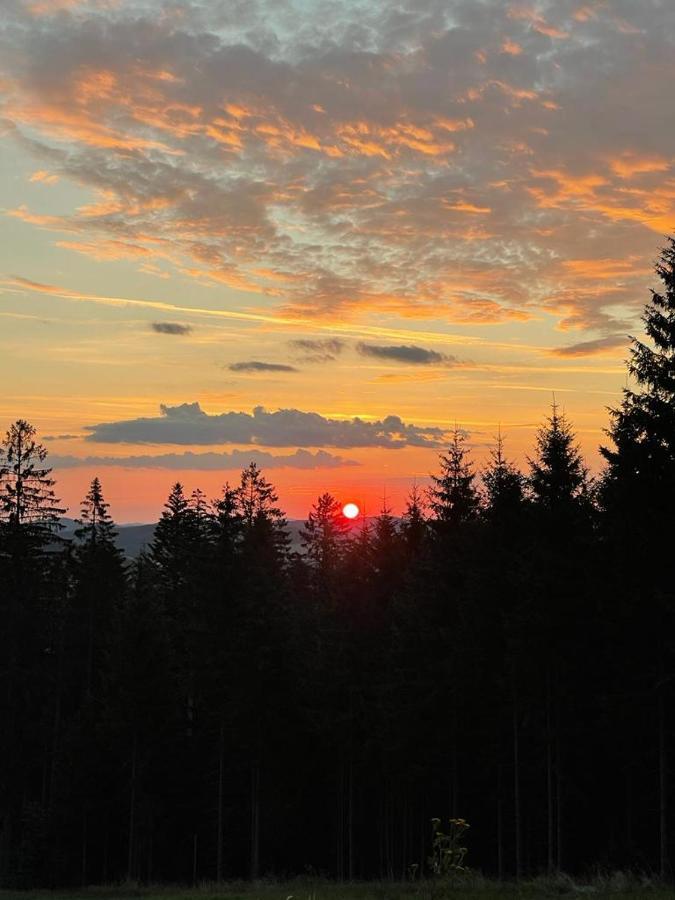 Apartmán Kapy Lipno Lipno nad Vltavou Kültér fotó